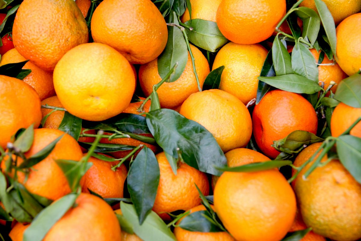 Orangen (Apfelsinen): in Wahrheit sind sie grün | Hauert MANNA