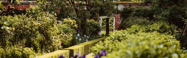 Dicht bewachsener, gepflegter Park oder Garten mit Hecken, Bäumen und Gehweg, Ziegelsteinmauer im Hintergrund.