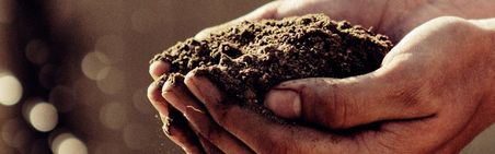 Hände halten eine Handvoll Erde oder Kompost. Unscharfer, brauntoniger Hintergrund.