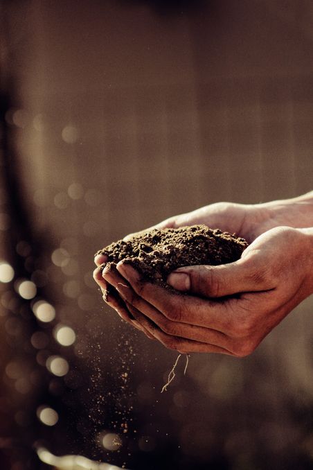 Hände halten eine Handvoll Erde oder Kompost. Unscharfer, brauntoniger Hintergrund.