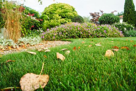 Gepflegter Garten mit Rasen und Rabatten mit Herbstblättern auf dem Rasen.