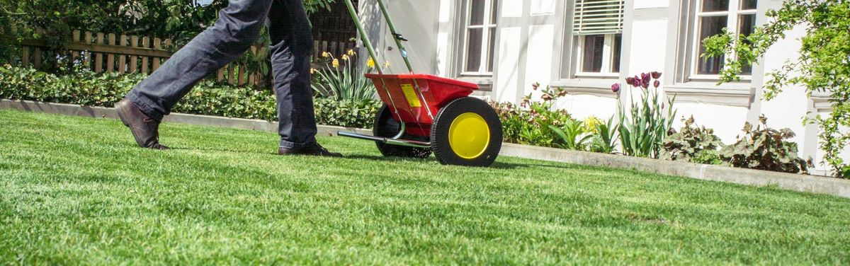 Rasen im Frühling richtig düngen Hauert MANNA