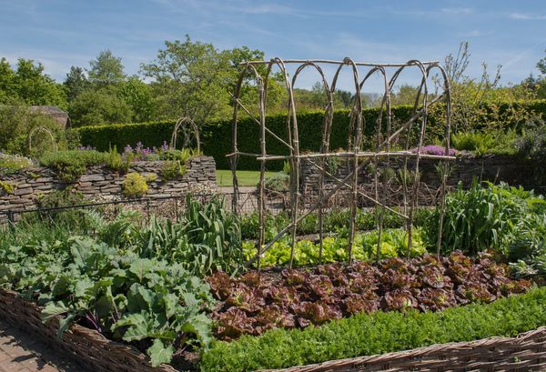 Gemüsegarten im Sommer