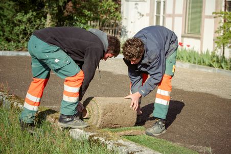 Ausrollen, auslegen des Rollrasens.