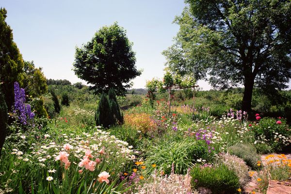 Sommerlicher Blumengarten mit Bäumen und Himmel im  Hintergrund.