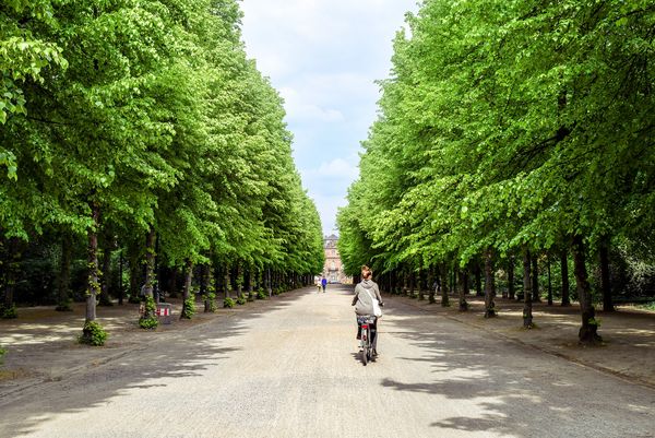 Stadtpark mit Allee. Kiesweg mit Fahrradfahrerin im Mittelgrund.