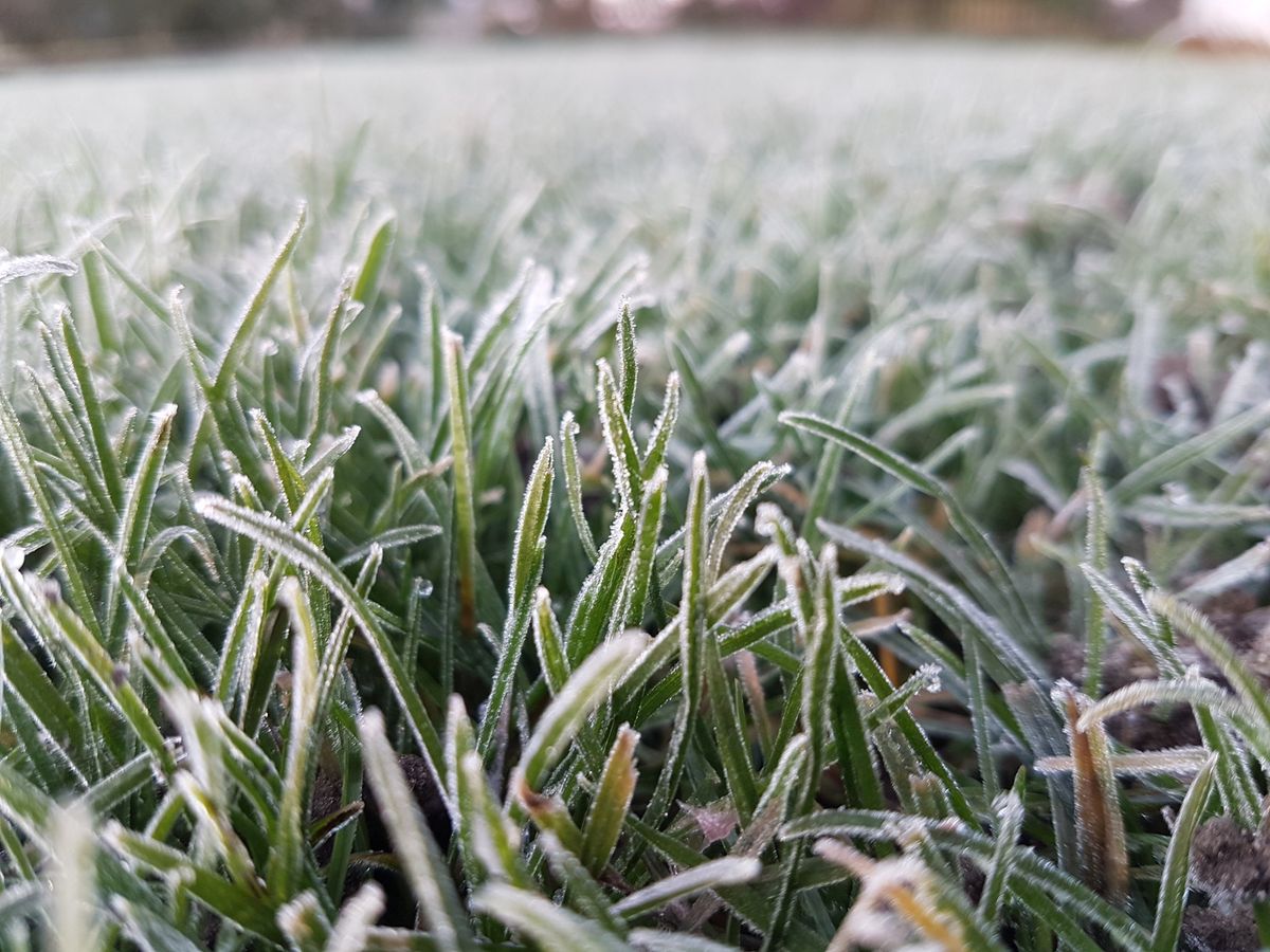 Rasen auf den Winter richtig vorbereiten Hauert MANNA
