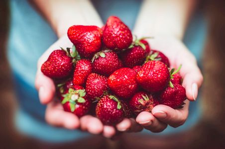 Hände strecken eine Hand voll Erdbeeren entgegen