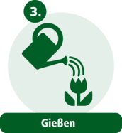 Schritt 3: Giessen