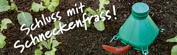 Schluss mit Schneckenfrass!