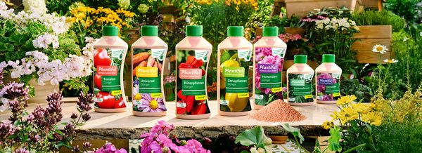 Hauert Plantiful Sortiment