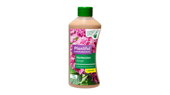Packshot Plantiful Hortensien