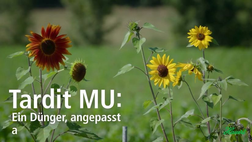 Tardit MU - Langzeitdünger für Freilandkulturen, Baumschulen & Zierpflanzenbau, Hauert